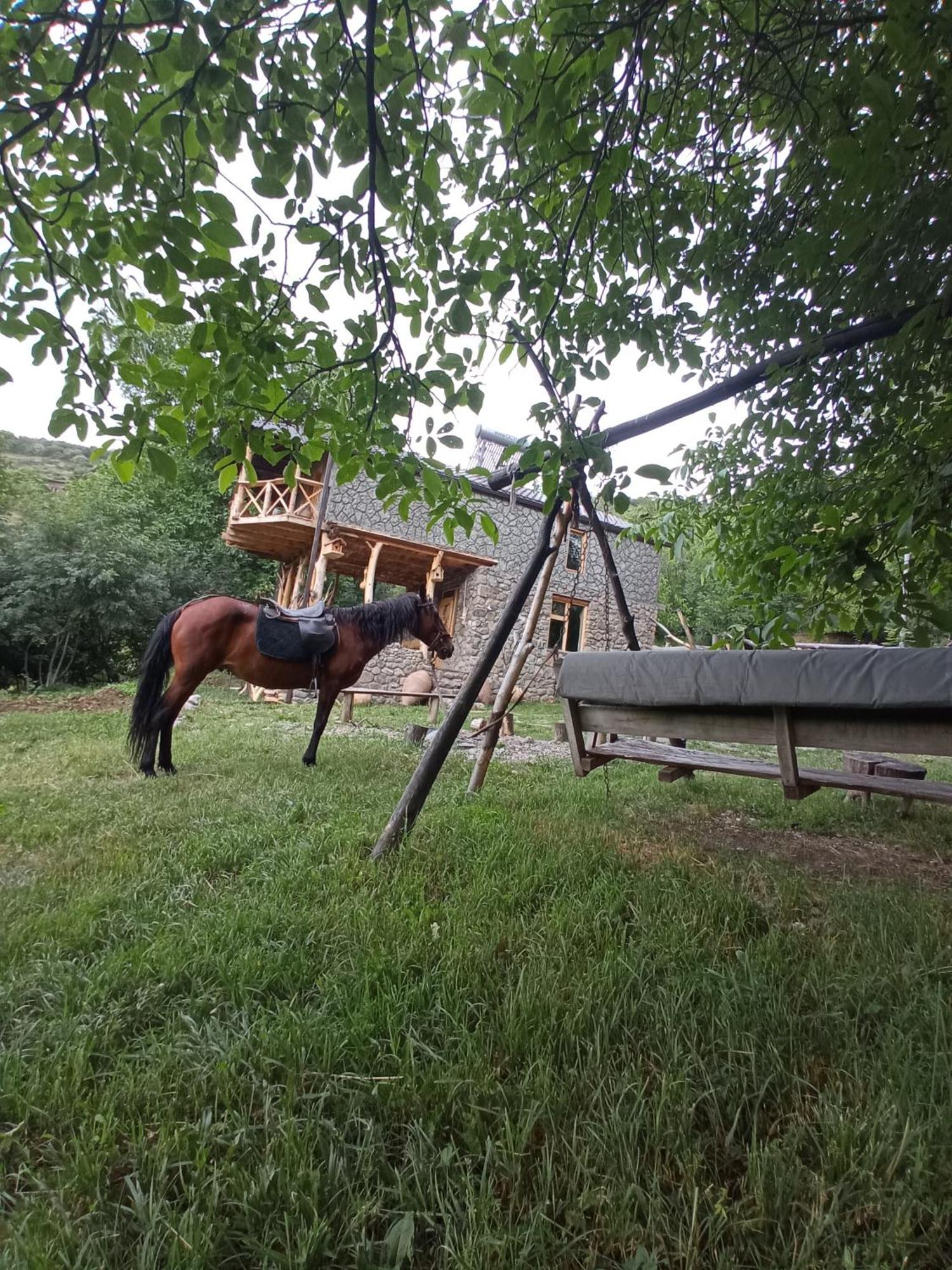 Hors'S Home Kültér fotó
